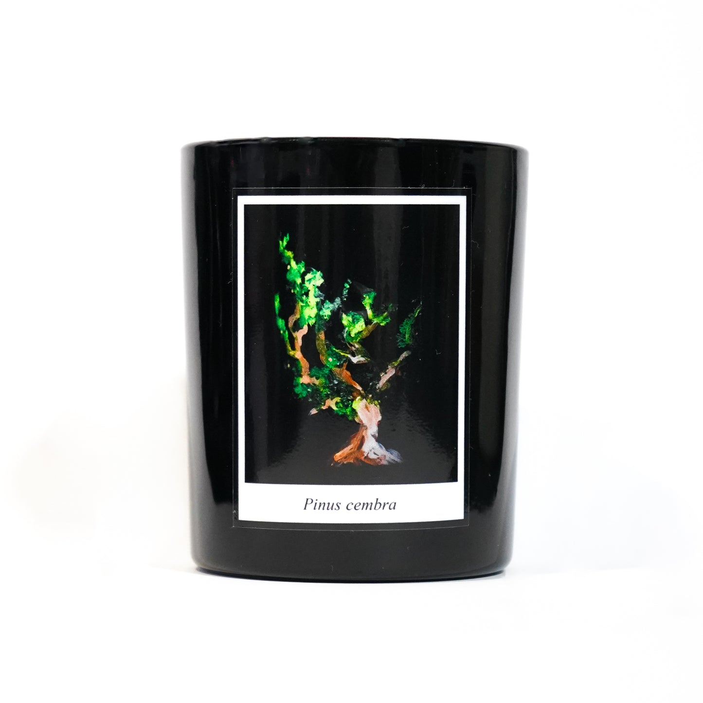 Duftkerze (Zirbelduft)