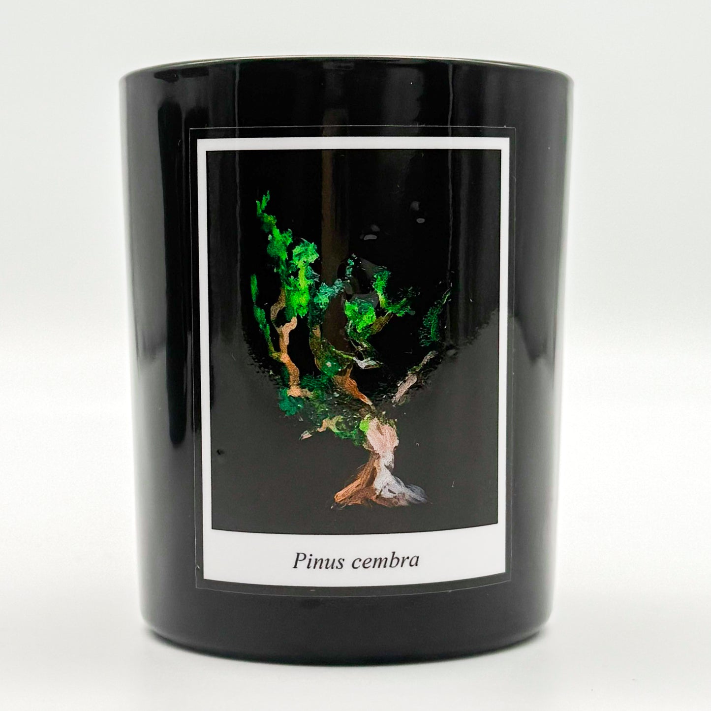 Duftkerze (Zirbelduft)