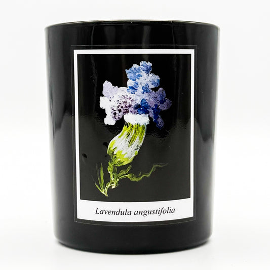 Duftkerze (Lavendel)